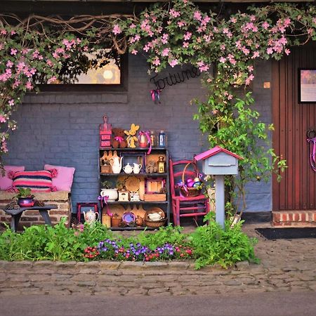 Maison Jeanny, Full House With Big Garden Frasnes-lez-Anvaing Екстер'єр фото
