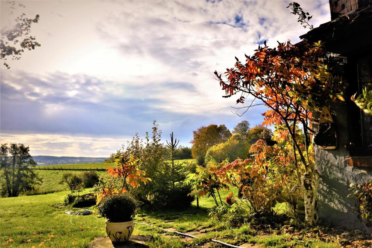 Maison Jeanny, Full House With Big Garden Frasnes-lez-Anvaing Екстер'єр фото