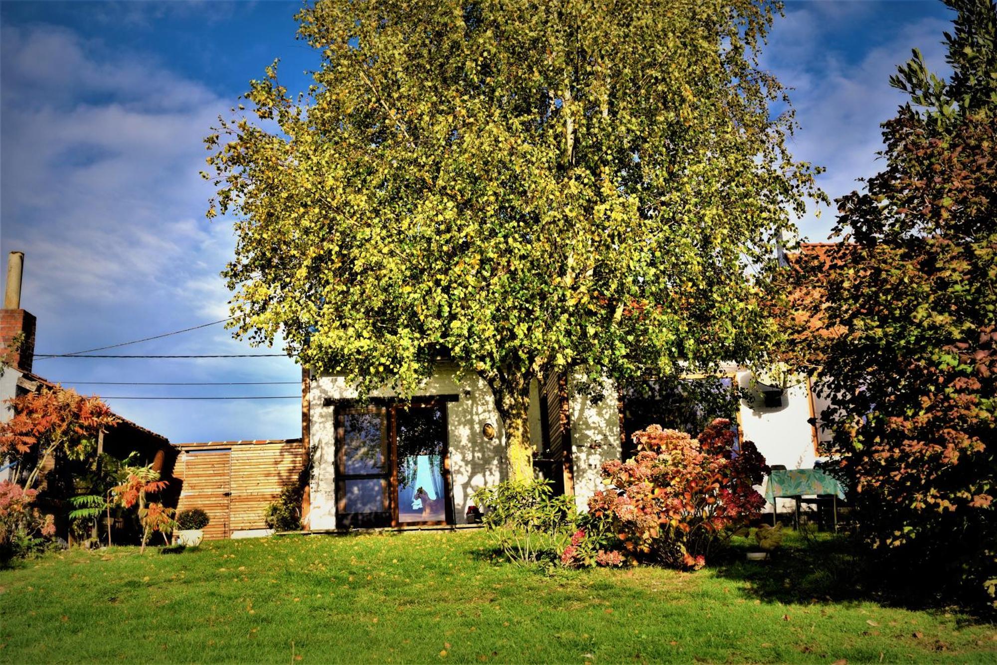 Maison Jeanny, Full House With Big Garden Frasnes-lez-Anvaing Екстер'єр фото